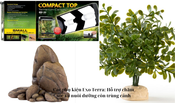 Các phụ kiện Exo Terra: Hỗ trợ chăm sóc và nuôi dưỡng côn trùng cảnh