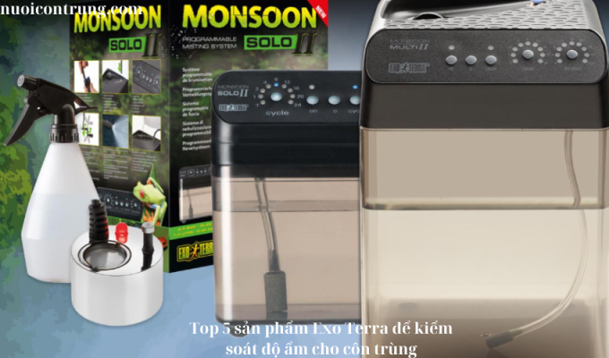 Top 5 sản phẩm Exo Terra để kiểm soát độ ẩm cho côn trùng