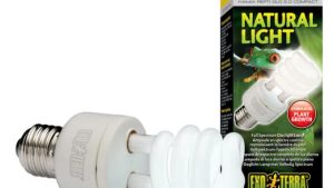 Bóng đèn Exo Terra: Natural Light Compact 13W Full Spectrum Daylight Bulb