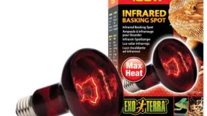 Bóng đèn Exo Terra: Infrared Basking Spot 100W Basking Spot