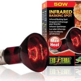 Bóng đèn Exo Terra: Infrared Basking Spot 50W Basking Spot