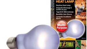 Bóng đèn Exo Terra: Daytime Heat Lamp 150W