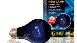 Bóng đèn Exo Terra: Night Heat Lamp 75W